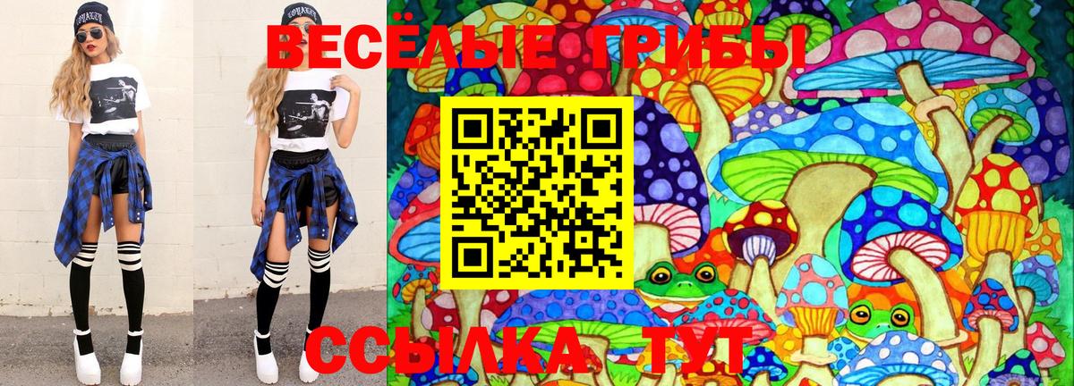 Чусовой  Галлюциногенные грибы Magic Shrooms  Вход с VPN  Галлюциногенные грибы мицелий 