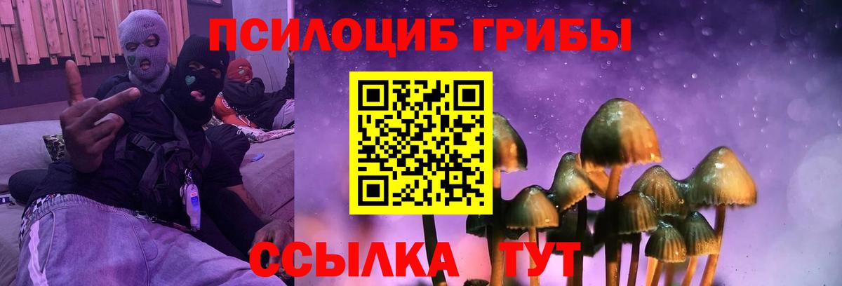 Псилоцибиновые грибы MAGIC MUSHROOMS Чусовой